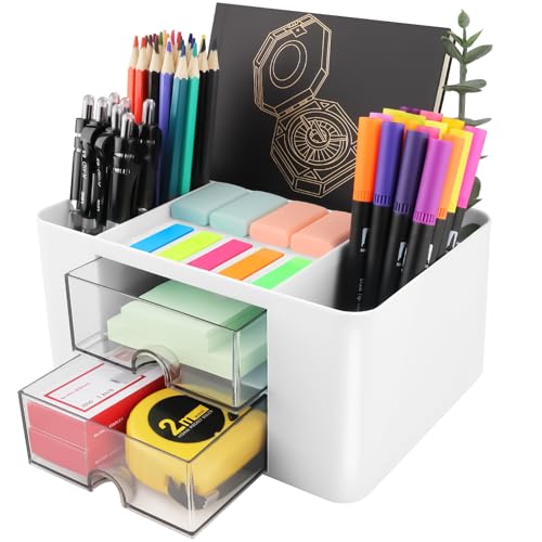 DoDuo Organizador de Escritorio, Multifuncional Plástico Organizadors Escritorio Desk con 5 Compartimentos y 2 Cajón para Hogar Oficina y Escuela (Blanco)