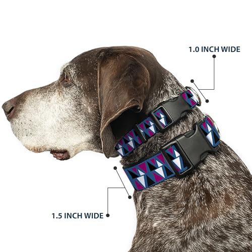 Collier pour chien à clip plastique Peaks Turquoise Buckle Down Medium réglable
