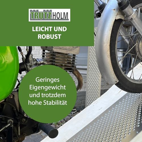 TRUTZHOLM Paar Lochblech Aluminium gebördelt 1000x400mm oder 1000x200mm (100 x 40 cm) (100 x 20 cm) 1,5 mm Stärke Trittsicherung Auffahrblech Schutzgitter (40 x 100 cm)