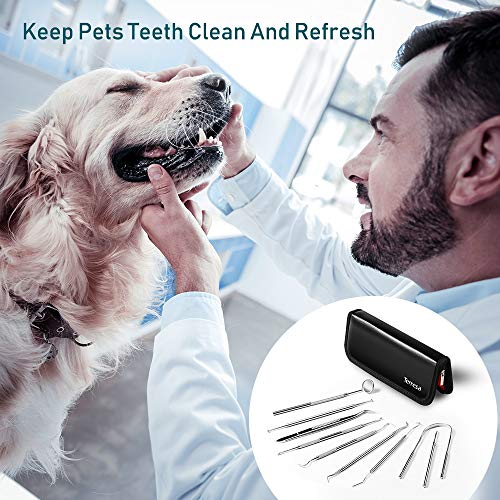 Dental Tools, Terresa 9 Pack Dental Pick Stainless Steel Dental Scaler Hygiene Kit, Dental Scraper and Mouth Mirror, Teeth Cleaning Tool for Dentist, Home & Pet Oral Care Set with Leather Case