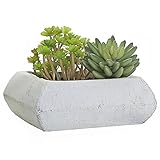 7 Inch Square Cement Succulent Plant Pot Rustic Cactus Planter Decorative Bowl, Off-White