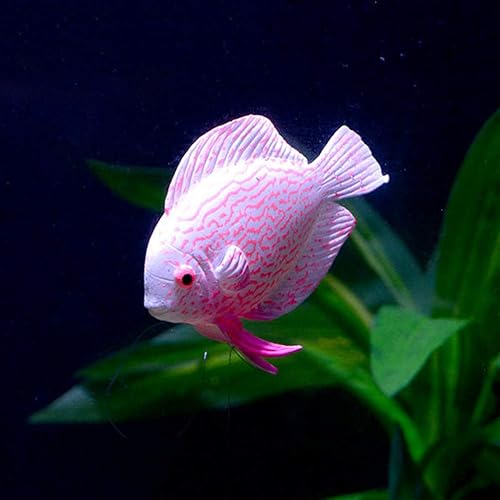 Yuehuam Artificial Aquarium Fishes, 4PCS in The Dark Luminous Silicone Fish Lifelike Plastic Fish Realistic Artificial Moving Floating Fishes for Aquarium Fish Tank Decorations Ornaments