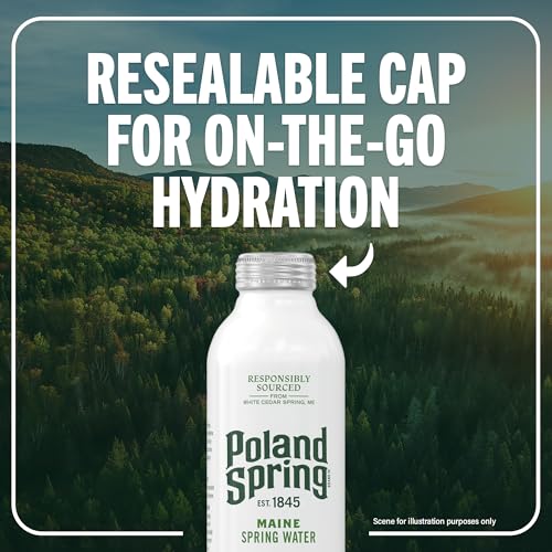 Image of Poland Spring Maine Spring Water Aluminum Bottle - Crisp, Still Bottled Water with Naturally Occurring Minerals & Electrolytes for Taste - Single - 25 fl oz