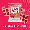 YOU LOVE FRUIT CHEERY CHERRY MANGO All Natural Fruit Snacks, Healthy Snack Pack, Real Fruit! Gluten Free, Non GMO, Vegan, Fiber packed, Low Fat, Kosher, Variety Pack, Great For Adding To Gift Box, 1.0 oz (Pack of 12)
