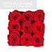 Perfectione Roses Preserved Flowers in a Box