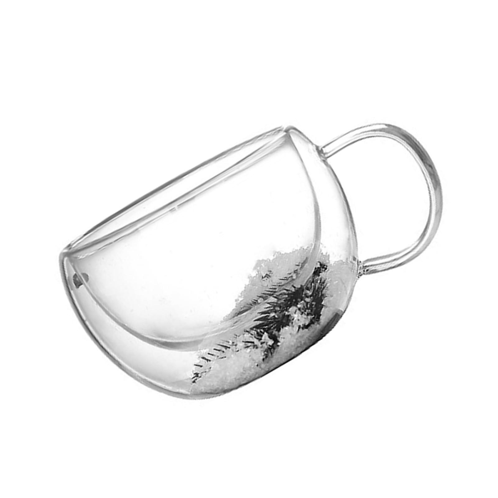 Xinsheinelry Artistic Dried Flower Embellished Glass Mug Double Wall Drinking Cup with Handle Beverages Drinkware for Women and Her Glass