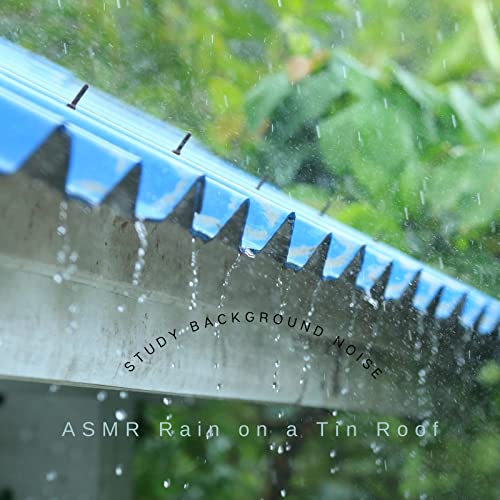 ASMR Rain on a Tin Roof