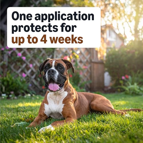 Amazon Basics Preventative Flea, Tick & Mosquito Topical Treatment for Large Dogs (21-55 pounds), 6 Count, Packaging May Vary - Image 5