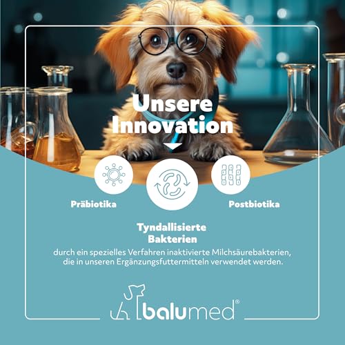 balumed® Snacks Knochen+Gelenke hochkonzentriert mit Grünlippmuschel für Hund, Leckerli mit Präbiotika, Postbiotika, Bierhefe, Teufelskralle, Chondroitin & Kollagen, Vitamine E + B, 325 g