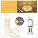 hansang G9 Led Bulb,6W(60W Halogen Bulb Replacement), Chandelier Light Bulbs,88 LEDs,Warm White 3000K,Non-dimmable,G9 Bi Pin Base,360° Transparent Plastic,550LM,Pack of 6