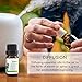 Benatu Essential Oils Set (Tea Tree Lavender Eucalyptus) for Home, Organic Relax Scent Aromatherapy Gift for Women and Men, Natural Fragrance for Skin Care, Body Topical Massage, Diffuser 3 Packs