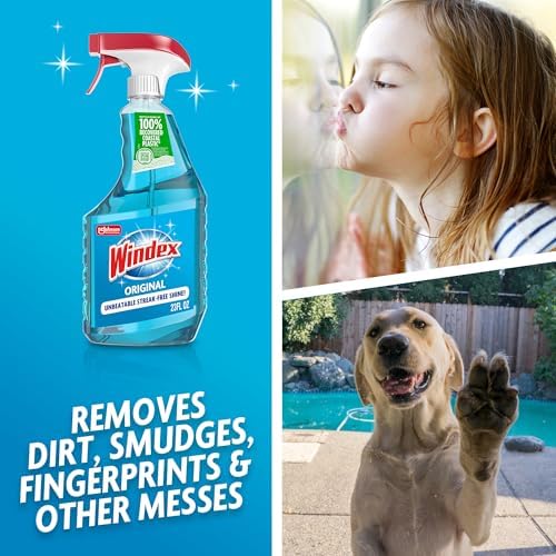 Windex Glass and Window Cleaner Spray Bottle, Packaging Designed to Prevent Leakage and Breaking, Surface Cleaning Spray, Original Blue Scent, 23 Fl Oz - 2