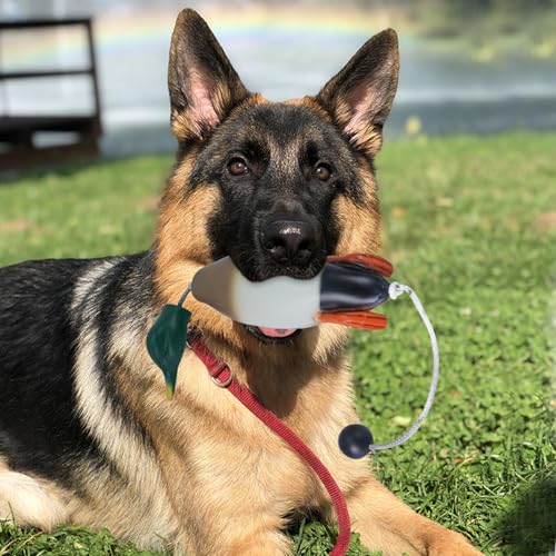 JINGAN Hunde-Stoßfänger zum Wasserholen, Enten-Stoßfänger-Spielzeug - Hunde-Retriever-Trainingsspielzeug | Jagdhundezubehör, Entenspielzeug für Hunde, Simulationstier in Form für Welpen