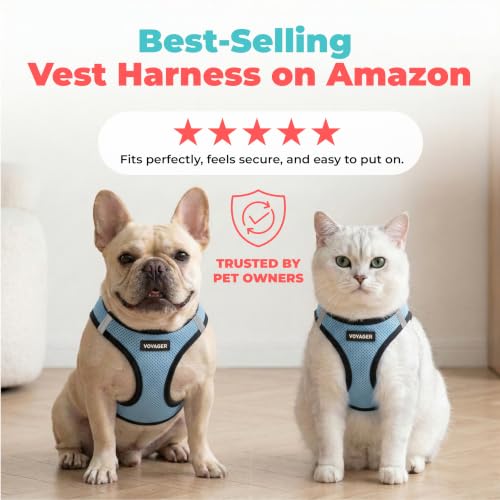 Image of Voyager Step-in Air Dog Vest Harness - Baby Blue /Black Trim, Large