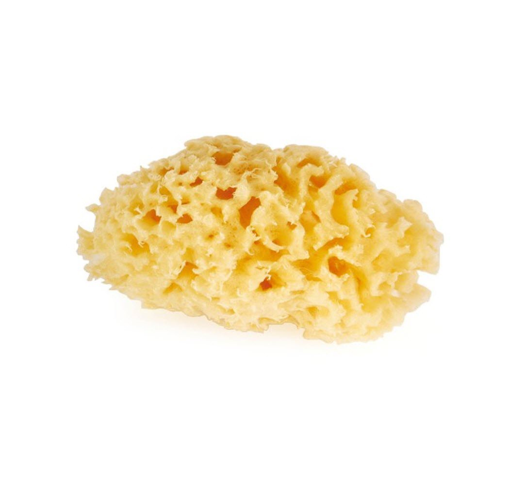 Graftobian Professional Makeup 3" Natural Stippling Sea Sponge Kit Theatrical