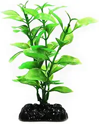 MAXXI PLANTAS AP-052C 10CM