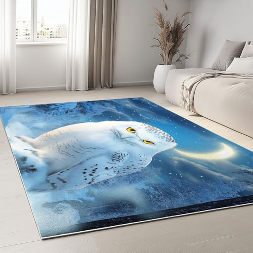Générique Tapis de Salon Chambre Bleu Clair, Tapis Enfant Adulte Chouette des forêts d'hiver Antidérapant Poil Court Léger Résistant Doux 60x90 cm Salle...