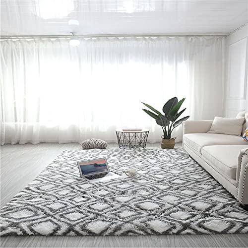 Rugs Living Room Large,Washable Grey Area Rugs for Bedroom, Anti Slip Modern Super Soft Thick Pile Small Fluffy Shaggy Rug Non Shedding,19,80 * 120cm