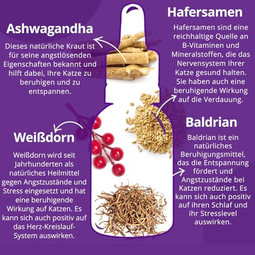 Tropfen Katze Beruhigung, Beruhigungsmittel für katzen, Beruhigung Katze, Baldrian Katze - Anti Stress für Katzen, 100 % Natürlich, 30 ml