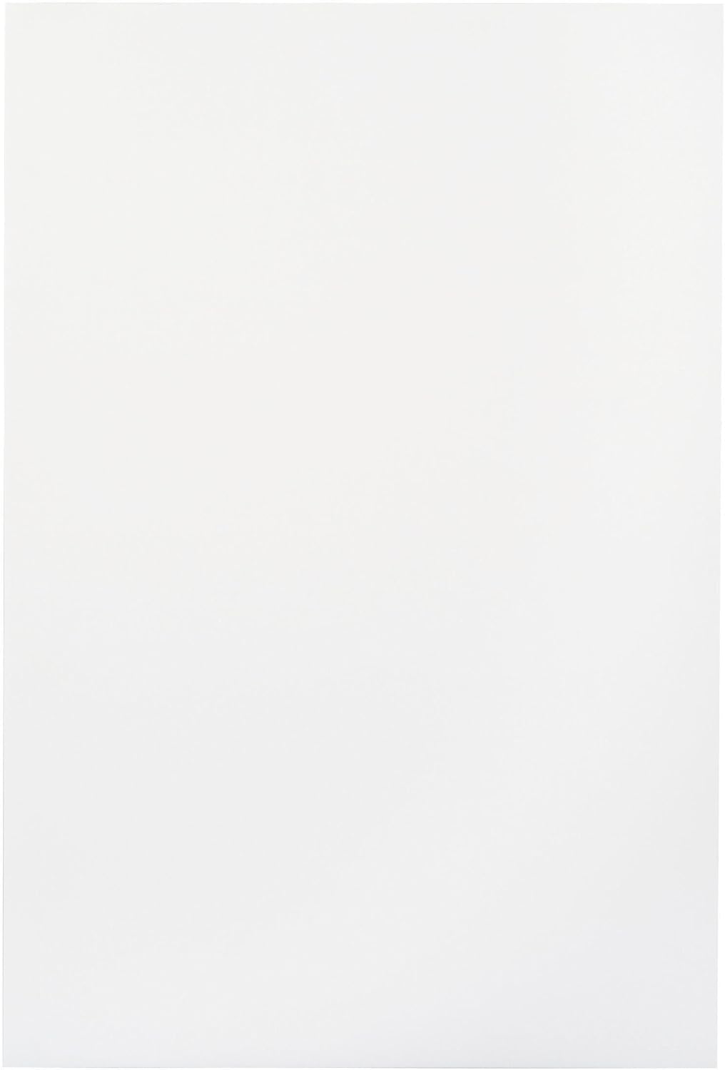 School Smart Folding Bristol Tagboard, 9 x 12 Inches, White, Pack of 100 - 085520