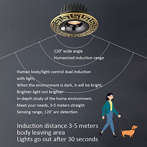 Cctung 10 Pack Human Body Sensing Led Recessed Lighting Ceiling Lights 5W, 7W, 10W, 12W Led Recessed Downlight,Chinese Brass Led Recessed Retrofit Ceiling Lights, #TOP4