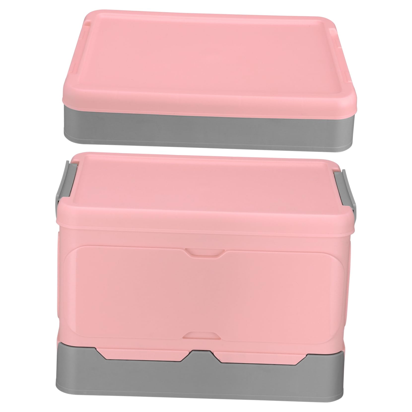 Ciieeo Boîte de Rangement Pliable 2 Pièces en Plastique Rose, Solide