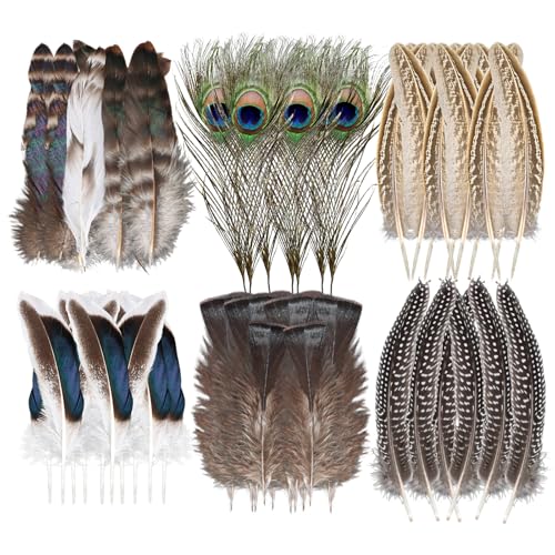 TNEDFOD 48 Stück flauschige Federn, Vogelfedern für kreative Hobbys, DIY, Traumfänger, Basteln, Hochzeitsfeier, Innendekoration TNEDFOD 48 Stück flauschige Federn, Vogelfedern für kreative Hobbys, DIY, Traumfänger, Basteln, Hochzeitsfeier, Innendekoration