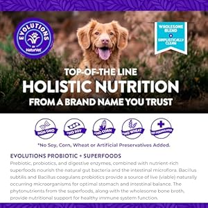 NaturVet Evolutions Probiotic & Superfoods 180ct Soft Chews for Dogs – Prebiotic & Probiotic Blend, Digestive Enzymes, Bone Broth, Omega’s – Nourishes Natural Gut Bacteria and Intestinal Microflora