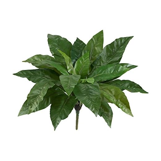 Set of 3 Lifelike Bird’s Nest Ferns