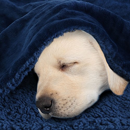Uxcell Sherpa Fleece Blanket Fuzzy Soft Microfiber Plush Reversible Flannel Throw Blanket Blanket For Sofa Couch Or Bed, Navy Blue-Navy Blue Throw-50" X 60" #TOP7