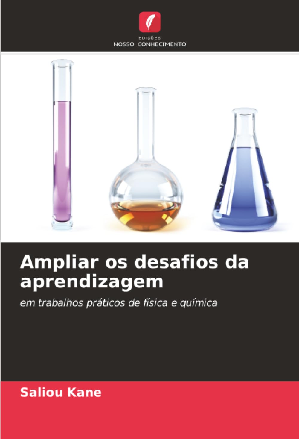 Ampliar os desafios da aprendizagem: em trabalhos práticos de física e química