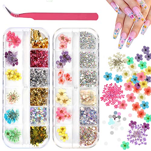 2 Boxes Dried Flowers Rhinestones for Nail Art, KISSBUTY 24 Colors Dry Flowers Mini Real Natural Flowers Holographic Nail Art Rhinestones Butterfly Nail Sequins Nail Foils Applique (Mixed Colors 1)