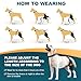 Dollephi Dog Knee Brace for Torn ACL Hind Leg, Hot/Cold Compress for Patella Dislocation or Osteoarthritis, Cruciate Ligament Injuries, for Medium & Large Dogs(Left Leg,L)