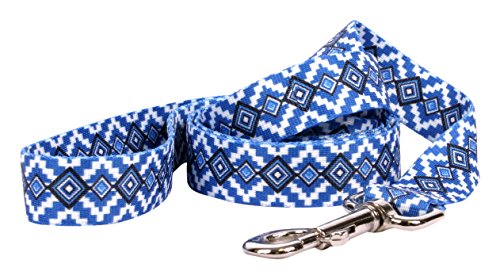 Image of Yellow Dog Design Standard Lead, Aztec Blue, 1 inch x 60 inch (5 ft.)