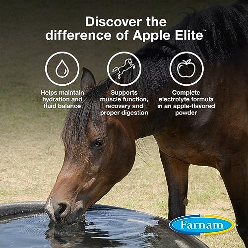 Farnam 81110 Apple Elite Horse Electrolyte Powder thumb #2