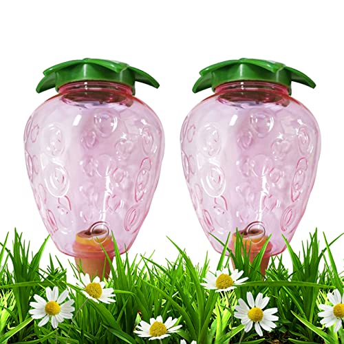 Dispensador de Agua para Plantas 500ML Fresa