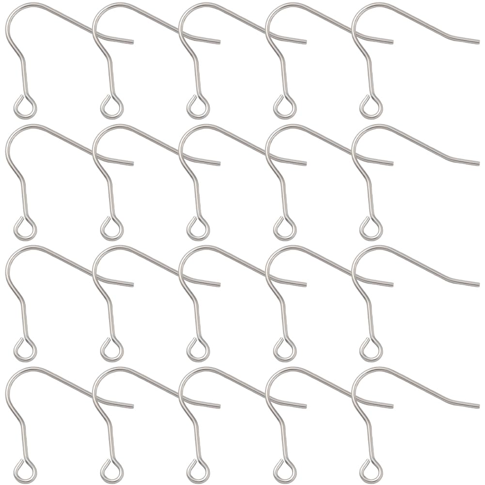 Beebeecraft 20Pcs Titanium Earring Hooks, Hypoallergenic Metal French Wire Earring Hooks Silver Fish Ear Findings for Jewelry Making Diy Craft Supplies Sensitive Ears