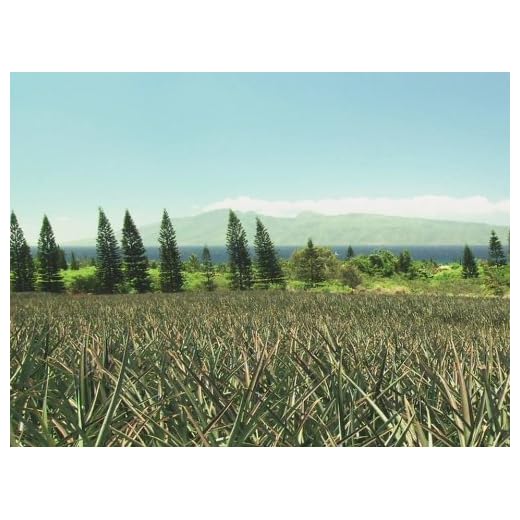 Maui & Hawaii's Big Island