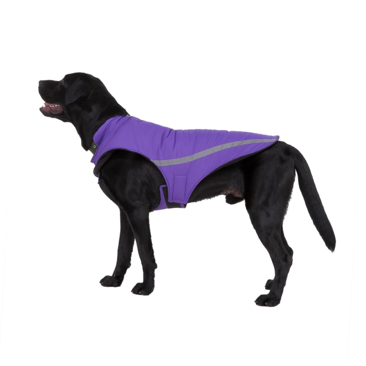 Manteaux de Pluie imperméables pour Chien, imperméable pour Chien, 2 pièces, Harnais d'hiver pour Chien, Gilet pour Animal de Compagnie, Gilet pour Chien Haute