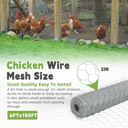 6FTx150FT Chicken Wire Netting Galvanized Wire Mesh Hexagonal for Poultry Garden Fencing Barrier