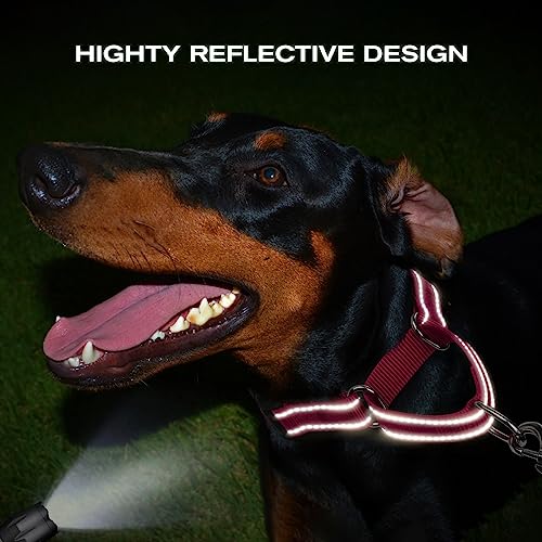 Joytale Martingale Collar for Dogs, Reflective Escape Proof Training Dog Collars with Safety Lock Buckle, No Slip Soft Nylon for Medium Pets, Hotpink, M - Image 6