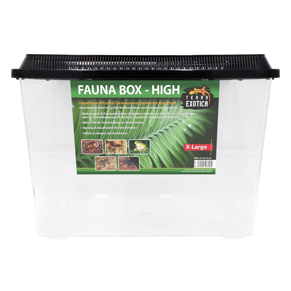 Terra Exotica Fauna Box Flat (Large, Small) oder Fauna Box High (Large, X-Large) - Transportbox für Reptilien, Amphibien,Mäuse - Kunststoffterrarium/Zuchtbox für Insekten (High, Extra-Large)