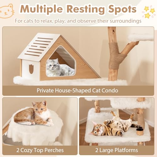 Árbol para Gatos de Madera Maciza Tangkula 60 pulgadas miniatura 7