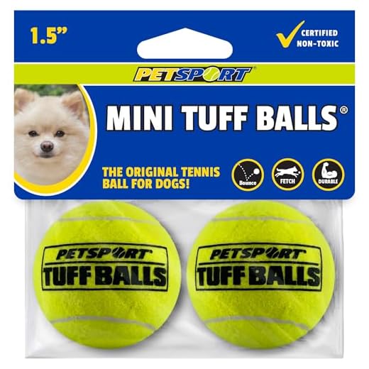 Mini-Tuff-Ball für kleine Hunde