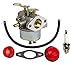 OuyFilters Kit de carburateur avec filtre à carburant pour souffleuse à neige Tecumseh HM100 HMSK100 HMSK90 Remplace 632370 632110