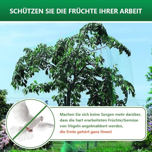 Vogelschutznetz 2m x 10m Vogelnetz Vogelschutznetz engmaschig Robust witterungs- & UV-beständig Hühnernetz Gartennetz Geflügelnetz Geeignet für Balkongartenteiche（grün）