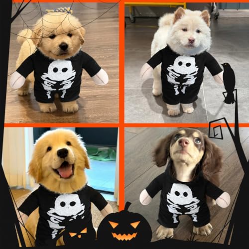 Halloween Kostüme für Im Dunkeln leuchtendes Skelettkostüm, SilverChry Hundekostüm Halloween, für Haustier Cosplay Party, Haustier Cosplay Party Anzug (M, Skeleton)