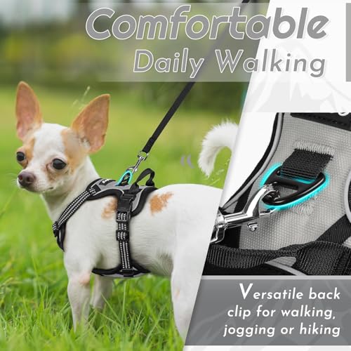 Eagloo Hundegeschirr Kleine Hunde, Anti Zug Hundegeschirr mit Reflexstreifen und Kontrolle, Verstellbar, Einstellbar und Langlebige Brustgeschirr Hund, Geeignet zum Gehen und Joggen, Grau, XS