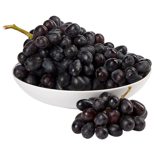 Sable Seedless Black Grapes Fresh Premium Sweet Juicy Dark Grapes Seedless Crisp Texture Perfect for Snacking Lunchboxes Salads Non-GMO Farm Fresh Handpicked High Quality Bulk Fruit Pack, [ 48 oz , 3 lb ]