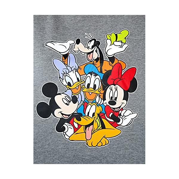 Disney-Womens-Plus-Size-T-Shirt-Mickey-Minnie-Mouse-Donald-Daisy-Goofy-Pluto Disney Womens Plus Size T-Shirt Mickey Minnie Mouse Donald Daisy Pluto (Grey, 4X)